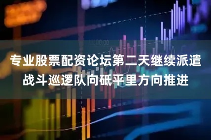 专业股票配资论坛第二天继续派遣战斗巡逻队向砥平里方向推进